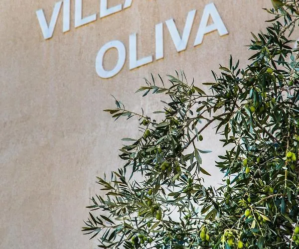 펜션 Oliva