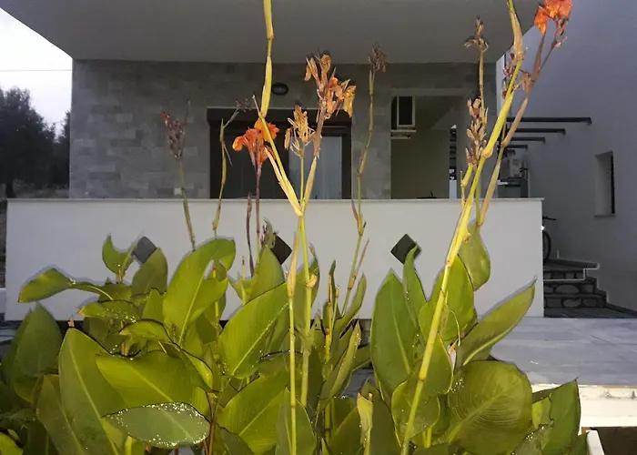 Casa vacanze Oliva *